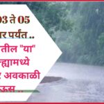 दि.03 ते 05 डिसेंबर पर्यंत राज्यातील “या” जिल्ह्यामध्ये पडणार अवकाळी पाऊस ; आत्ताचा नवीन हवामान अंदाज !