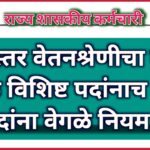 एकस्तर वेतनश्रेणीचा लाभ केवळ विशिष्ट पदांनाच ; इतर पदांना वेगळे नियम !